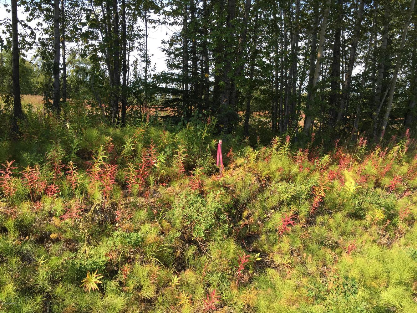 63747 Oil Well Rd, Ninilchik, AK 99639